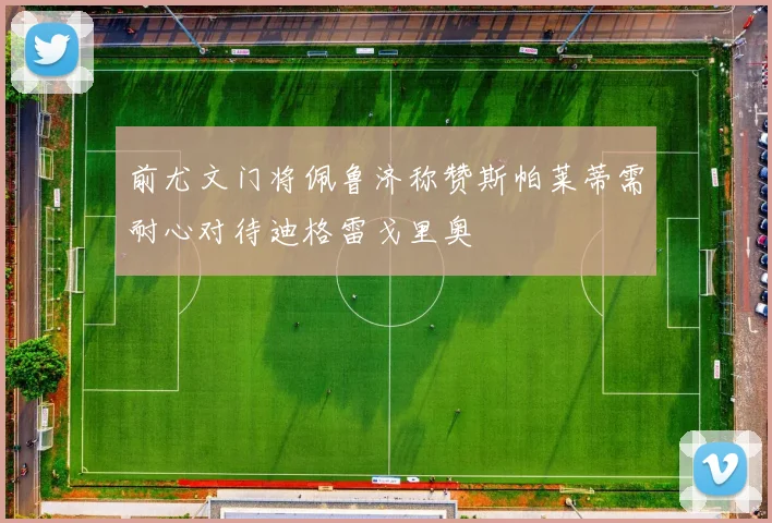 前尤文门将佩鲁济称赞斯帕莱蒂需耐心对待迪格雷戈里奥